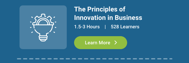 The Principles of Innovation in Business