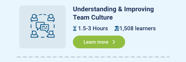 Understanding and Improving Team Culture