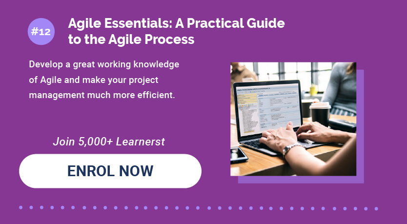 12. Agile Essentials: A Practical Guide to the Agile Process