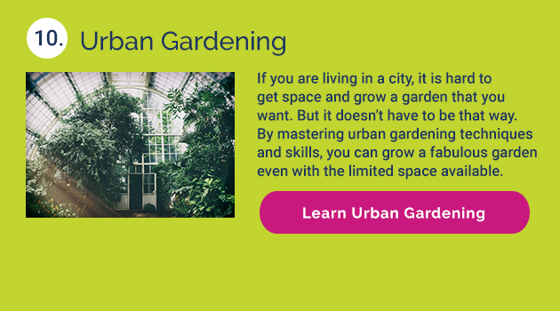 10. Urban Gardening