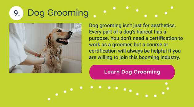 9. Dog Grooming