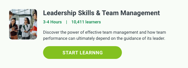 Leadership Skills and Team Management