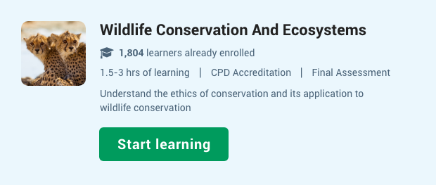 🌱 Wildlife Can Affect Your Life, Learner. Know How!