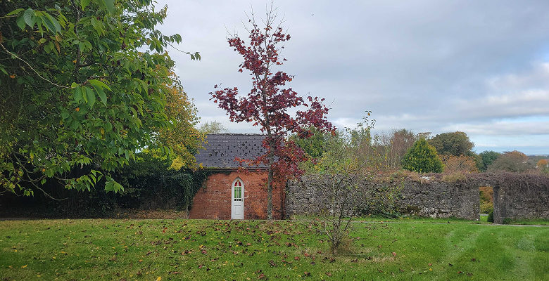 Large image