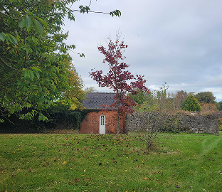 Large image
