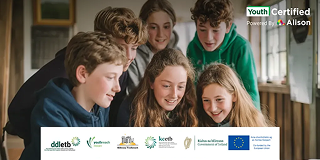 Alison for Second-Level School Programmes