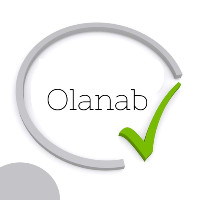 Olanab Consults