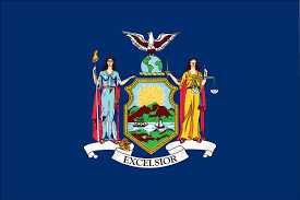 New York Workforce Skills Development